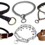 Which Collars are the Best?